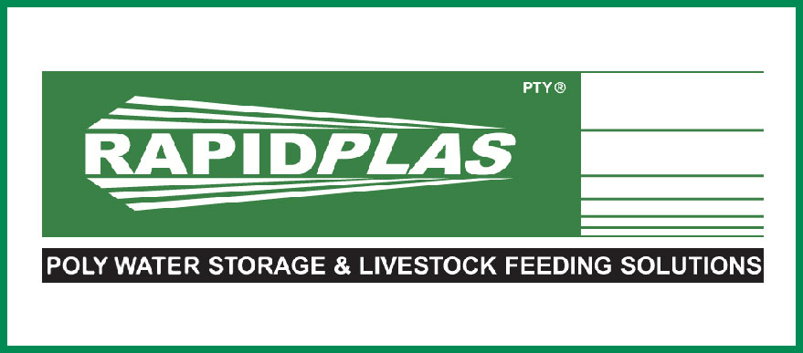 Rapid Plas Logo